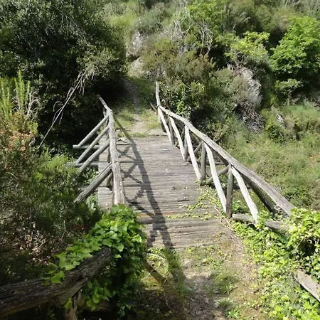 La Casa Dei Fiori Appartamento *