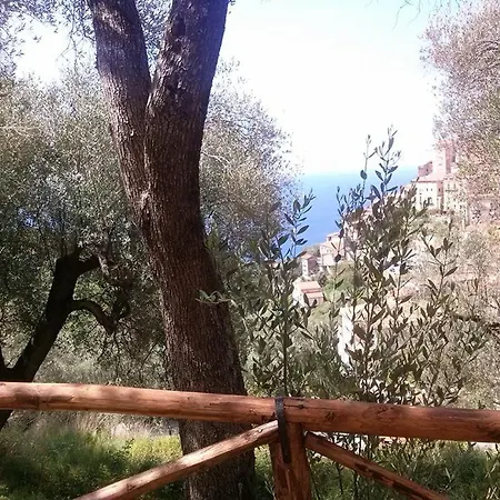 Appartamento La Casa Dei Fiori Pisciotta