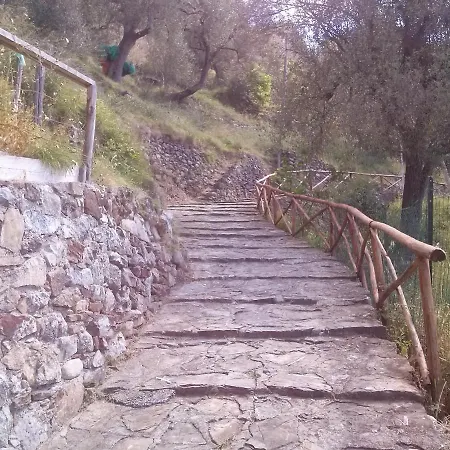Le Dei Fiori Apartment Pisciotta
