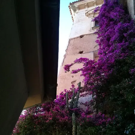 La Casa Dei Fiori Apartment