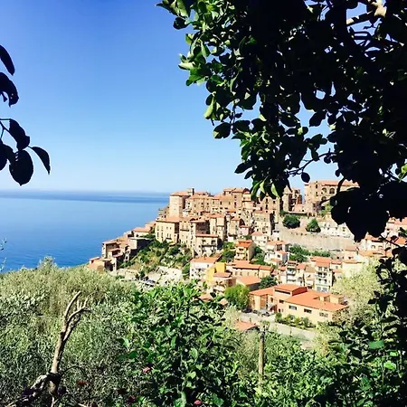 Appartamento La Casa Dei Fiori Pisciotta