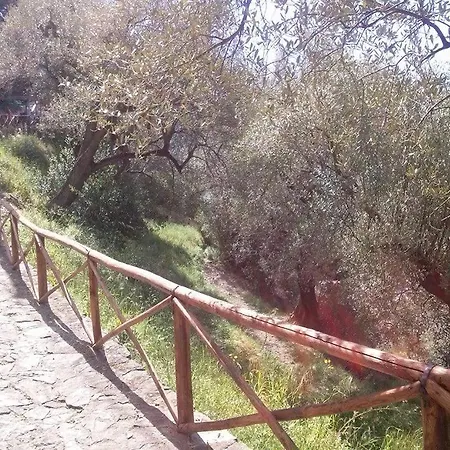 Appartamento La Casa Dei Fiori