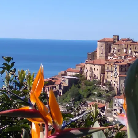 La Casa Dei Fiori *