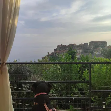 La Casa Dei Fiori Apartment Pisciotta