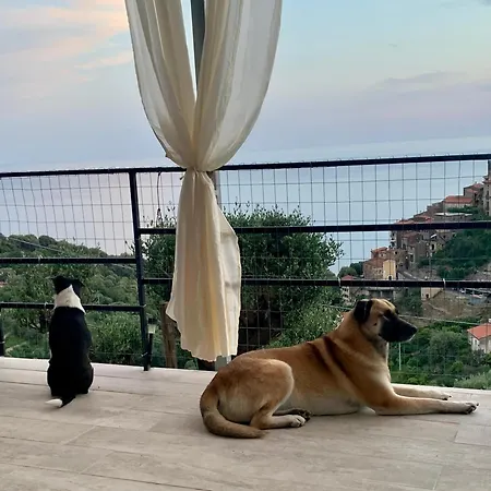 La Casa Dei Fiori Appartamento *