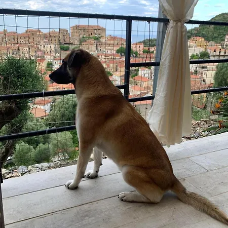 La Casa Dei Fiori Appartamento Pisciotta
