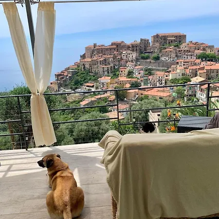 La Casa Dei Fiori